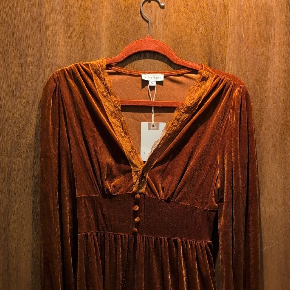 Elegant Velvet Dress in Rich Rust-Brown - Picture 6 of 10